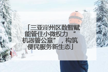 三亚崖州区数智赋能管住小微权力 “机器管公章”，构筑便民服务新生态