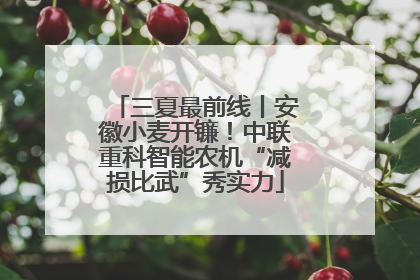 三夏最前线丨安徽小麦开镰！中联重科智能农机“减损比武”秀实力