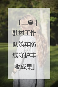 三夏｜驻村工作队筑牢防线守护丰收成果