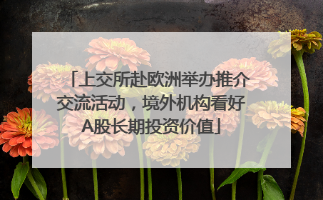 上交所赴欧洲举办推介交流活动，境外机构看好A股长期投资价值