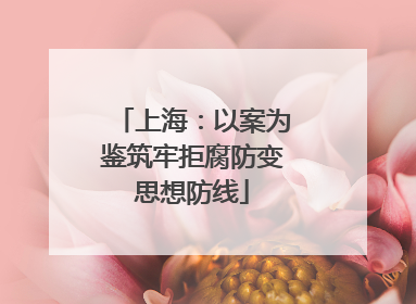 上海：以案为鉴筑牢拒腐防变思想防线