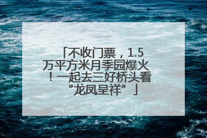 不收门票，1.5万平方米月季园爆火！一起去三好桥头看“龙凤呈祥”