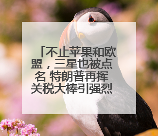 不止苹果和欧盟，三星也被点名 特朗普再挥关税大棒引强烈反应