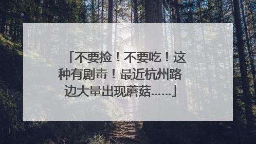 不要捡！不要吃！这种有剧毒！最近杭州路边大量出现蘑菇……