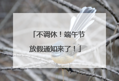 不调休！端午节放假通知来了！