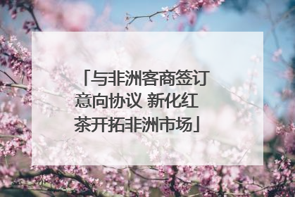 与非洲客商签订意向协议 新化红茶开拓非洲市场