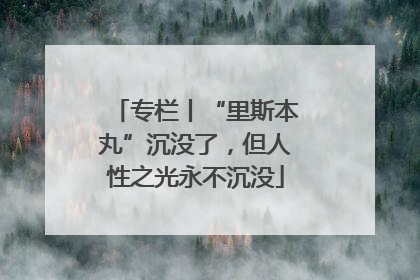 专栏丨“里斯本丸”沉没了，但人性之光永不沉没