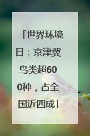 世界环境日：京津冀鸟类超600种，占全国近四成