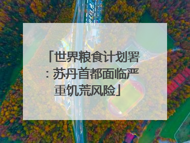 世界粮食计划署：苏丹首都面临严重饥荒风险