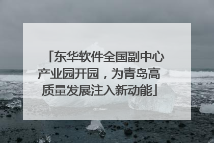 东华软件全国副中心产业园开园，为青岛高质量发展注入新动能
