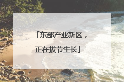 东部产业新区，正在拔节生长