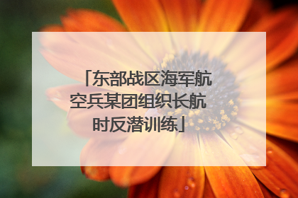 东部战区海军航空兵某团组织长航时反潜训练
