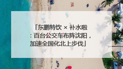 东鹏特饮 × 补水啦：百台公交车布阵沈阳，加速全国化北上步伐
