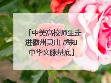 中美高校师生走进徽州灵山 感知中华文脉基底