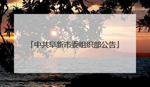 中共阜新市委组织部公告