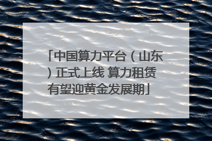 中国算力平台（山东）正式上线 算力租赁有望迎黄金发展期