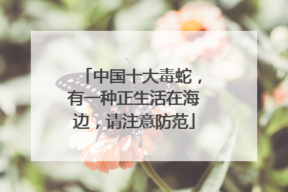 中国十大毒蛇，有一种正生活在海边，请注意防范