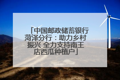 中国邮政储蓄银行菏泽分行:助力乡村振兴 全力支持南王店西瓜种植户