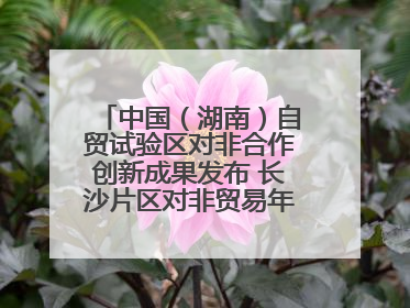 中国（湖南）自贸试验区对非合作创新成果发布 长沙片区对非贸易年均增长141%