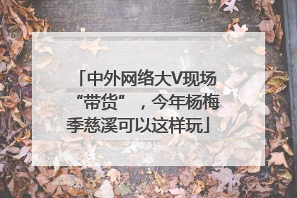中外网络大V现场“带货”，今年杨梅季慈溪可以这样玩