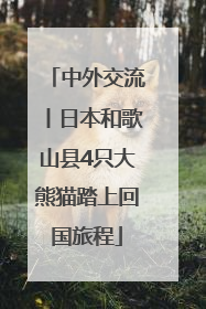 中外交流丨日本和歌山县4只大熊猫踏上回国旅程