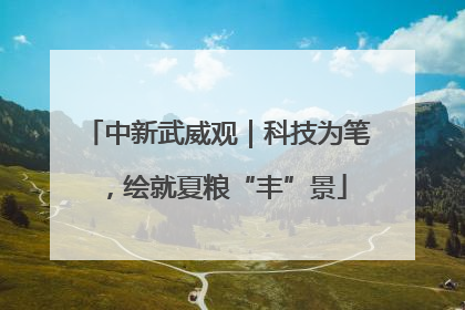 中新武威观｜科技为笔，绘就夏粮“丰”景