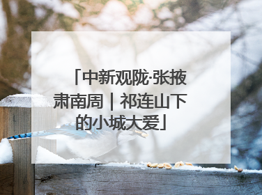 中新观陇·张掖肃南周｜祁连山下的小城大爱