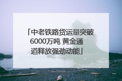 中老铁路货运量突破6000万吨 黄金通道释放强劲动能