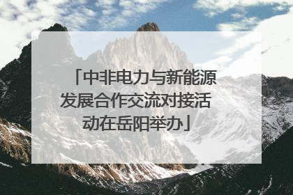 中非电力与新能源发展合作交流对接活动在岳阳举办