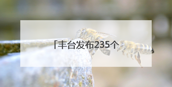 丰台发布235个法务就业实习岗位！面向这些高校