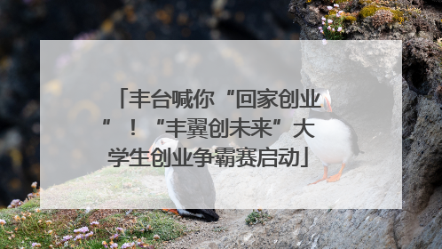 丰台喊你“回家创业”！“丰翼创未来”大学生创业争霸赛启动