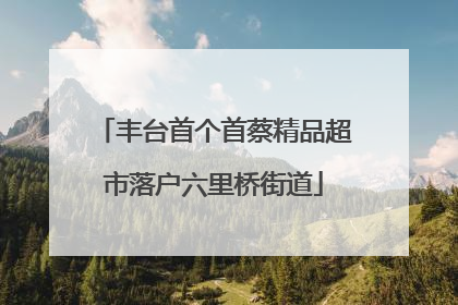 丰台首个首蔡精品超市落户六里桥街道