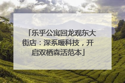 乐乎公寓回龙观东大街店：深系暖科技，开启双栖森活范本