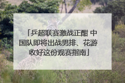 乒超联赛激战正酣 中国队即将出战男排、花游 收好这份观赛指南