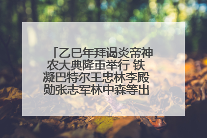 乙巳年拜谒炎帝神农大典隆重举行 铁凝巴特尔王忠林李殿勋张志军林中森等出席 孙伟主持