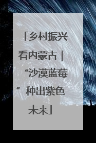 乡村振兴看内蒙古｜“沙漠蓝莓”种出紫色未来