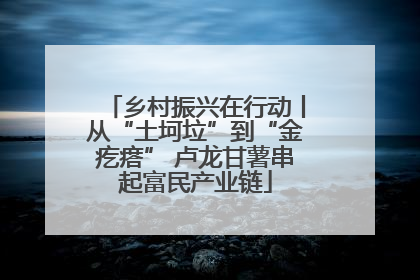 乡村振兴在行动丨从“土坷垃”到“金疙瘩” 卢龙甘薯串起富民产业链