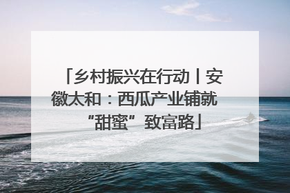 乡村振兴在行动丨安徽太和：西瓜产业铺就“甜蜜”致富路
