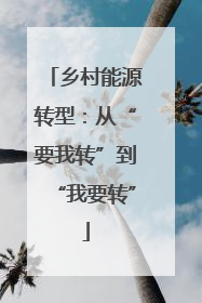 乡村能源转型：从“要我转”到“我要转”