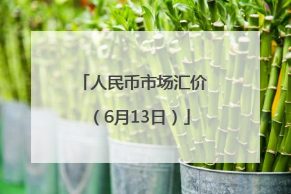 人民币市场汇价（6月13日）