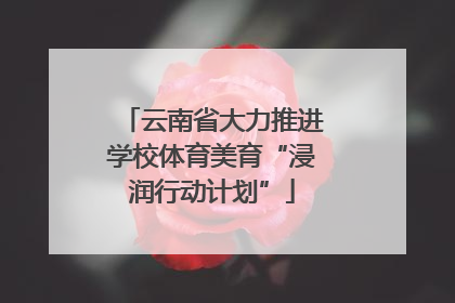 云南省大力推进学校体育美育“浸润行动计划”