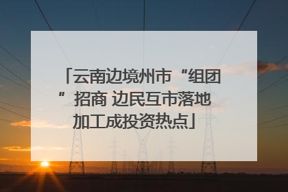 云南边境州市“组团”招商 边民互市落地加工成投资热点
