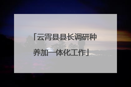 云霄县县长调研种养加一体化工作