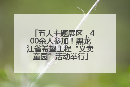 五大主题展区，400余人参加！黑龙江省希望工程“义卖童园”活动举行