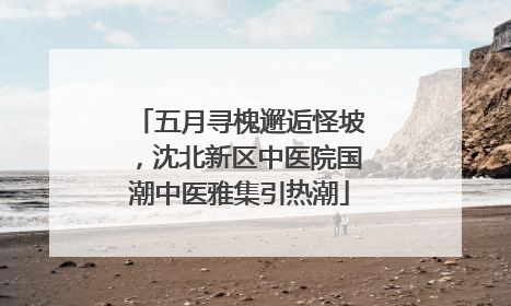 五月寻槐邂逅怪坡，沈北新区中医院国潮中医雅集引热潮