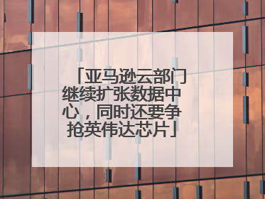 亚马逊云部门继续扩张数据中心，同时还要争抢英伟达芯片