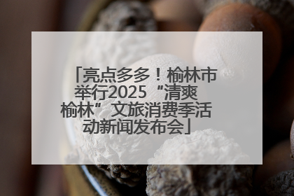 亮点多多！榆林市举行2025“清爽榆林”文旅消费季活动新闻发布会