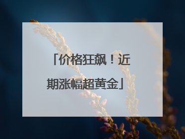 价格狂飙！近期涨幅超黄金