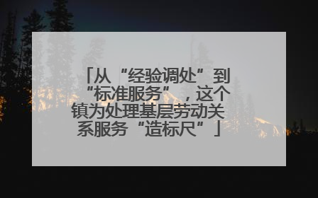 从“经验调处”到“标准服务”，这个镇为处理基层劳动关系服务“造标尺”