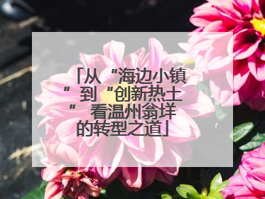 从“海边小镇”到“创新热土” 看温州翁垟的转型之道